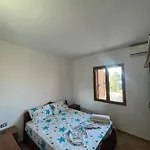 Kamberi & 2 *