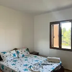 Kamberi & 2 *
